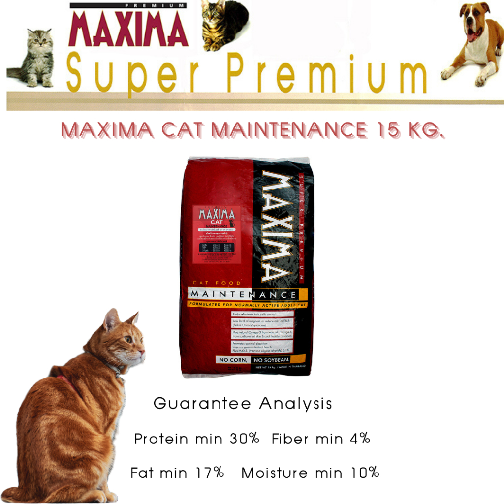 🧧ส่งฟรี🧧 CAT FOOD MAXIMA MAINTENANCE 15 KG.