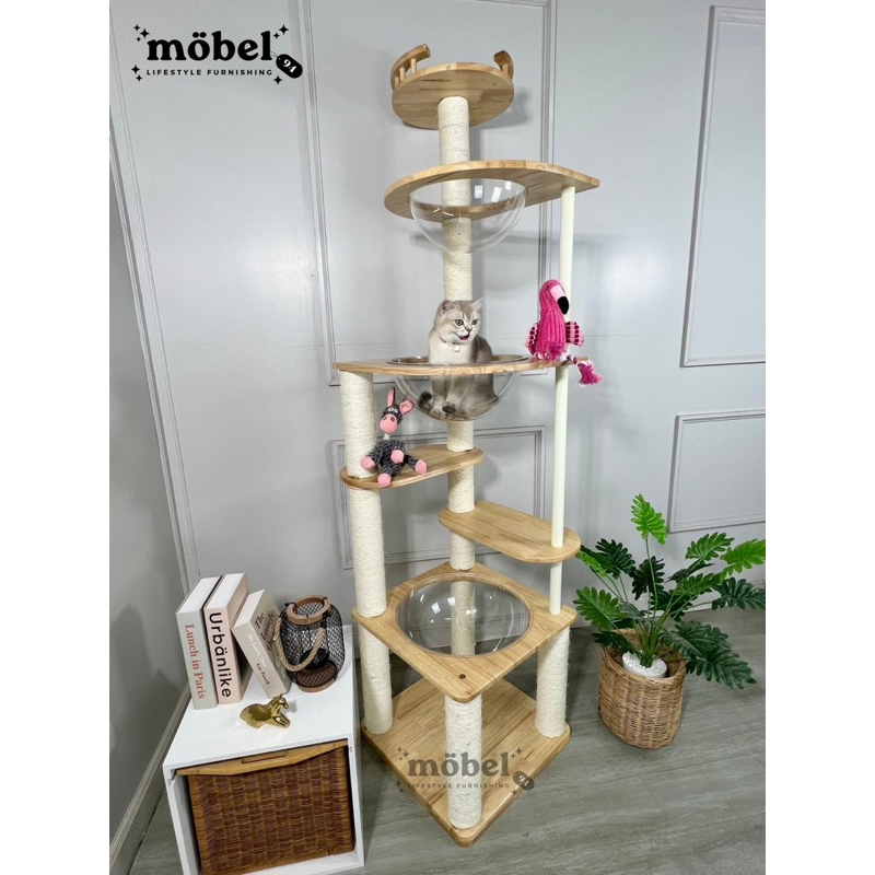 [ส่งฟรี ]คอนโดแมวไม้ยางพารา สูง2เมตร สำหรับแมวจ้ำม่ำ/แมวพันธุ์ใหญ่ มี3หลุม อ่างใสใหญ่พิเศษ ราคา ถูกที่สุด ดีลบีเคเค แกลเลอรีภาพที่ 2