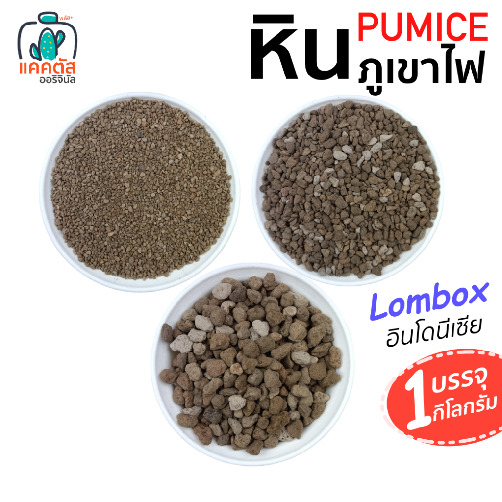 (1 กิโล) หินภูเขาไฟ พัมมิส Pumice หินรองก้อนกระถาง ผสมดินปลูกวัสดุ เบอร์00 เบอร์01 เบอร์02 ปลูกแคคตัส กระบองเพชร