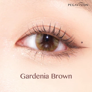 PEGAVISION คอนแทคเลนส์สี รายเดือน รุ่น KAORI สี Gardenia Brown (2 เลนส์/กล่อง)