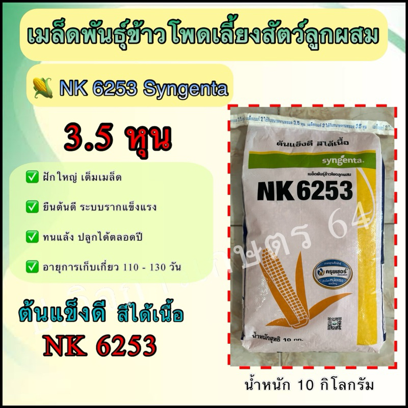 เมล็ดพันธุ์ข้าวโพดเลี้ยงสัตว์ NK 6253 เม็ด 3.5 หุน 10 กิโลกรัม 🌽🌽 ทนแล้ง ทนโรค ผลผลิตสูง🌽🌽 ต้นแข็งดี