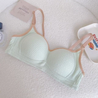 [ส่งจากไทย] 𝑩𝒓𝒂𝑩𝒓𝒂𝑩𝒓𝒂 #bra-243 เสื้อในดันทรง ผ้าฝ้าย สีพาสเทล ขอบตัด ไร้โครง