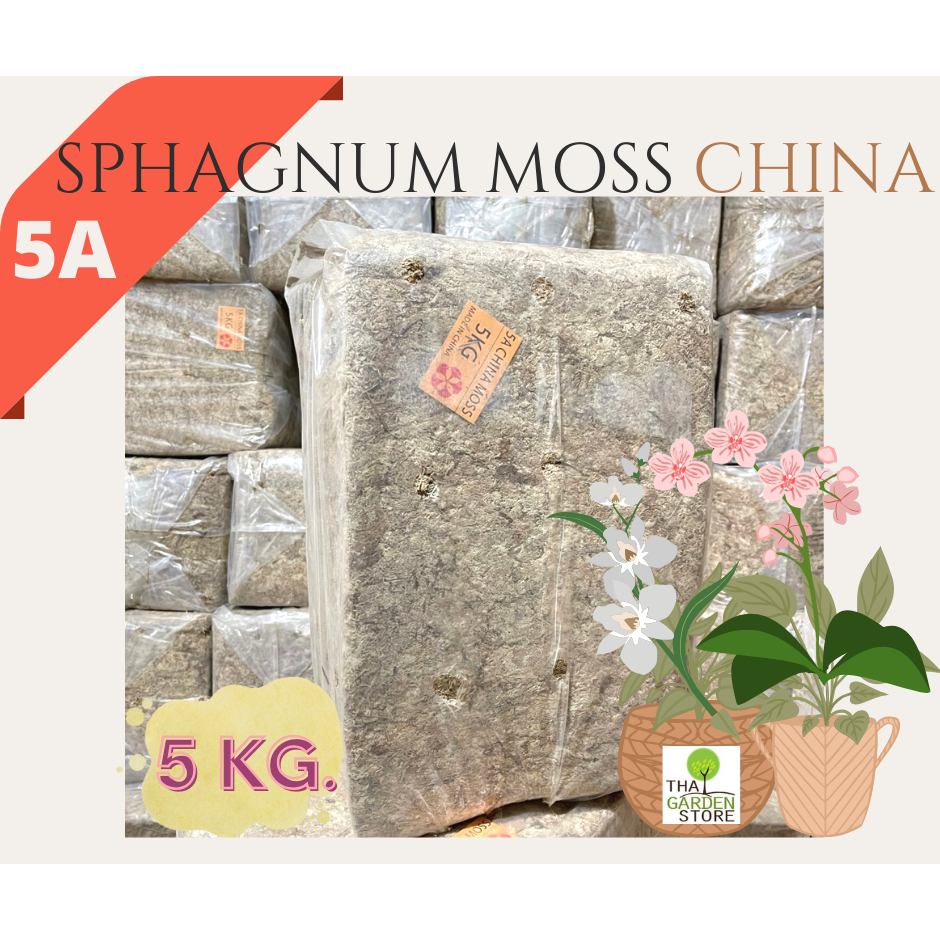 สแฟกนั่มมอสจีน มอส ปลูกต้นไม้ เกรด5A ขนาด 5 KG. Sphagnum Moss China Grade 5A