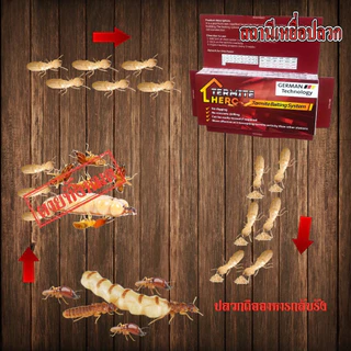 สถานีเหยื่อปลวก (10 กล่อง)/TERMITE HERO เหยื่อกำจัดปลวก/กับดักปลวก/ระบบเหยื่อล่อปลวก/ควบคุมแมลง