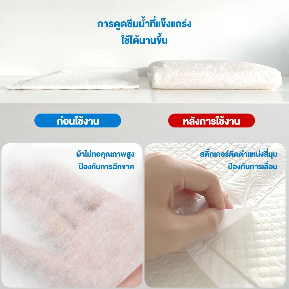 Petcho แผ่นรองฉี่สุนัข ซับได้มาก ดูดซับดี thumbnail 5