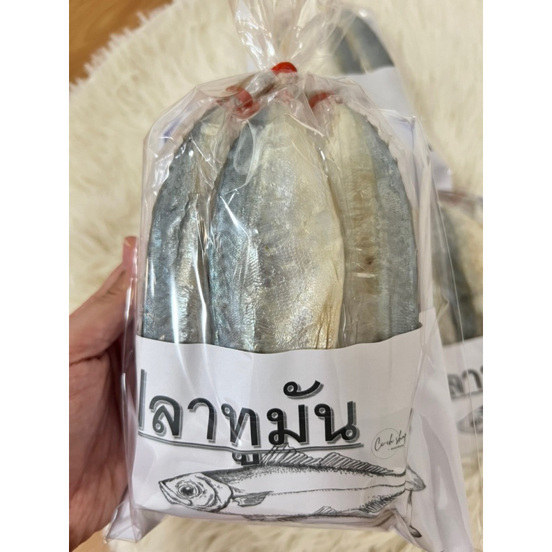 ปลาทูมัน แม่กลองแท้ๆ แพ็ค3ตัว พร้อมส่ง
