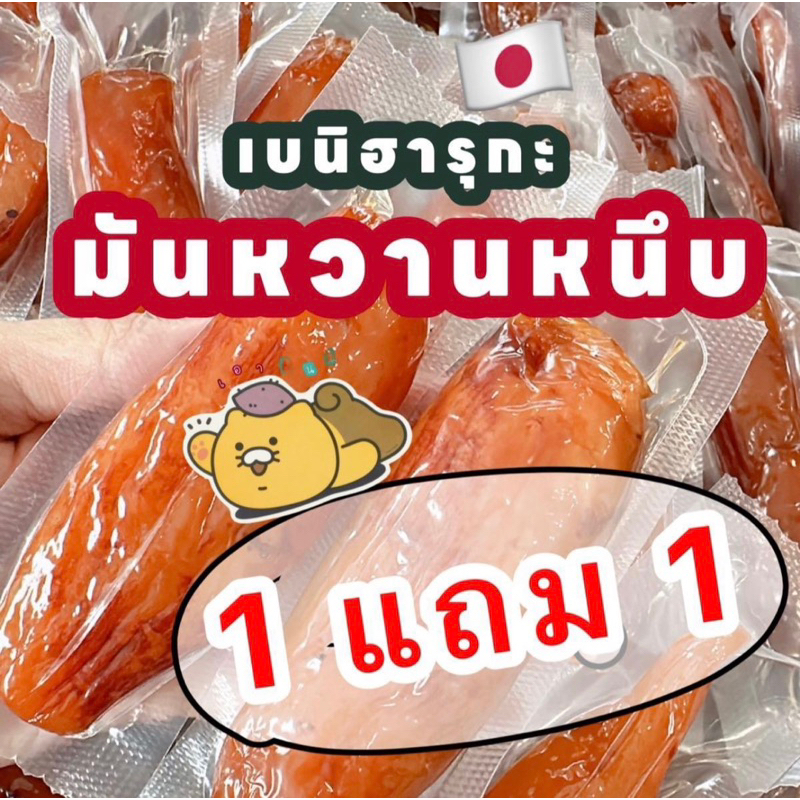 [ โปร 1 ฟรี 1 ] มันหวานหนึบ เบนิฮารุกะ แท้ ไม่ผสมแป้ง ไม่มีน้ำตาล (270g.*2ถุง)
