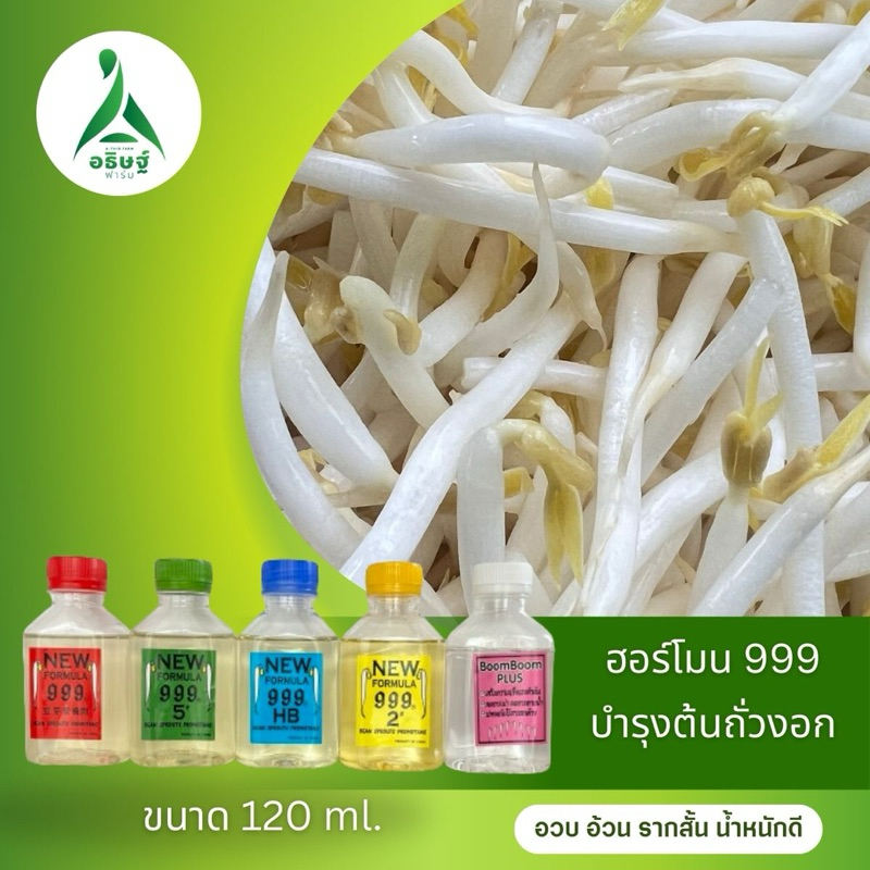ฮอร์โมน999 ถั่วงอก (ขนาดทดลอง)