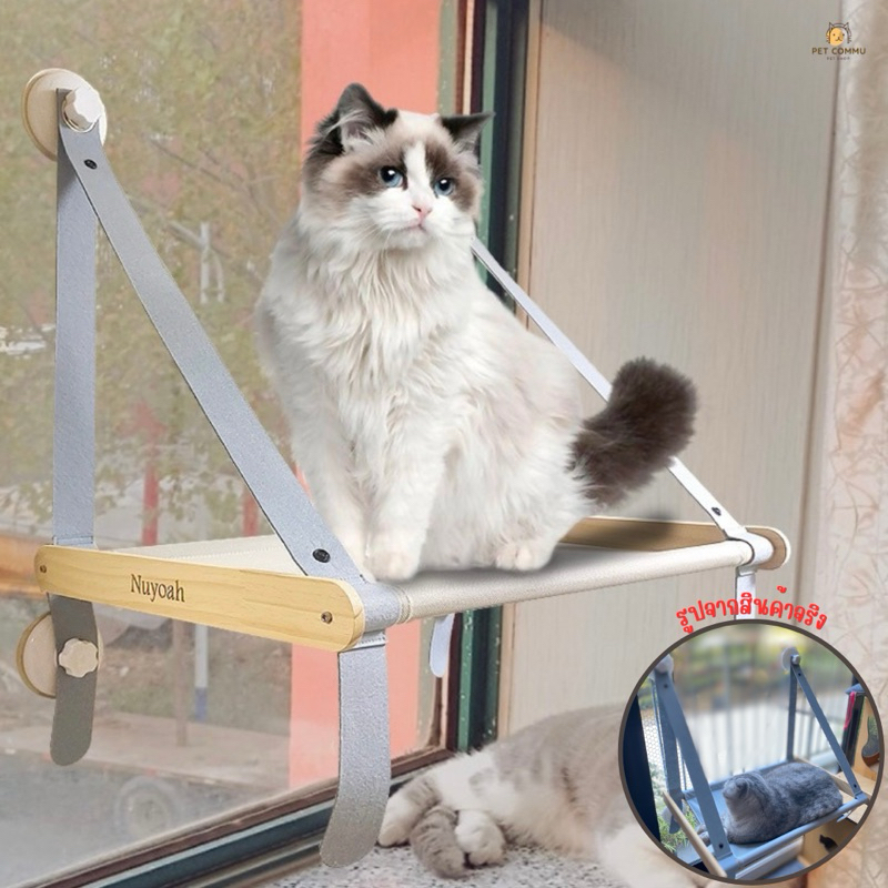 เปลแมวติดกระจกพับได้ เปลสัตว์เลี้ยง Cat bed Cat​ Hammock