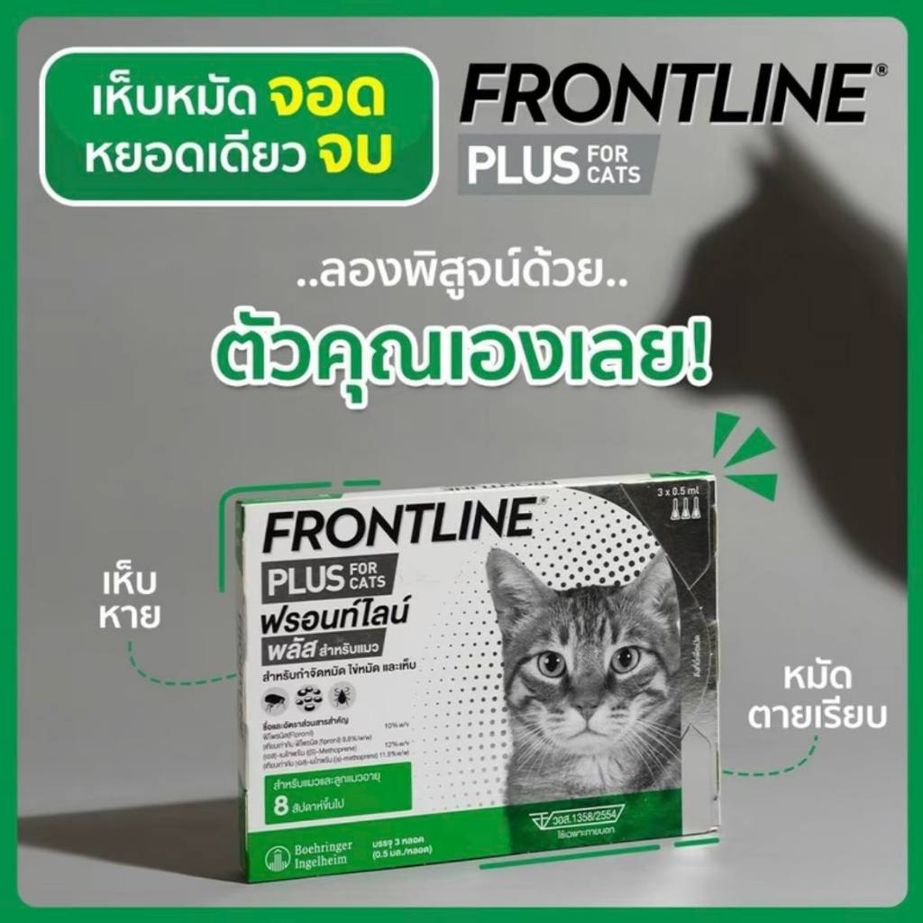 Frontline Cat Plus ฟรอนด์ไลน์พลัสสำหรับแมว ล็อตใหม่