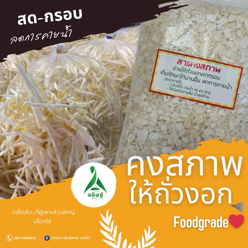 คงสภาพสำหรับแช่ถั่วงอก
