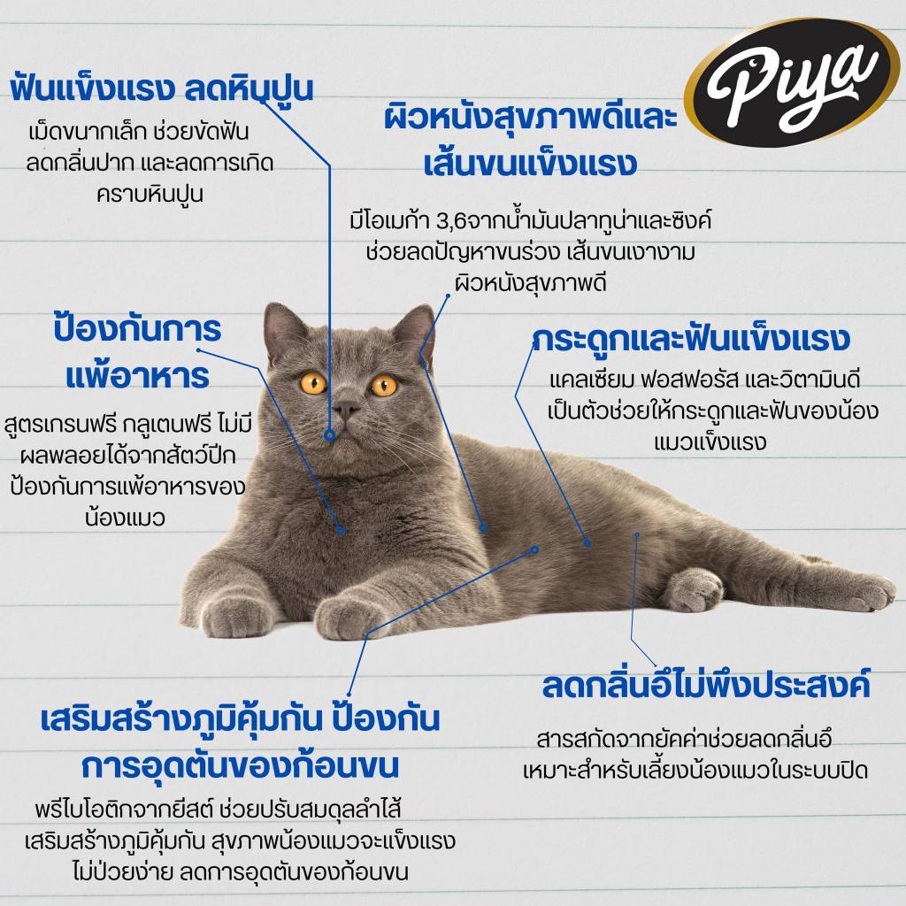 Piya อาหารแมว ปีย่า สูตรเกรนฟรีและโฮลิสติก รสปลาทูน่าและปลาแซลมอน ขนาด 10 กิโลกรัม