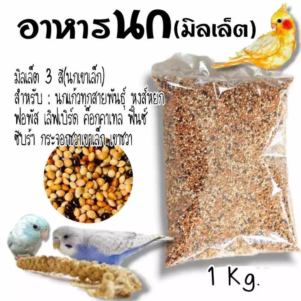 อาหารนกเขาเล็ก มิลเล็ตรวม 3 สี บรรจุถุงละ 1 kg