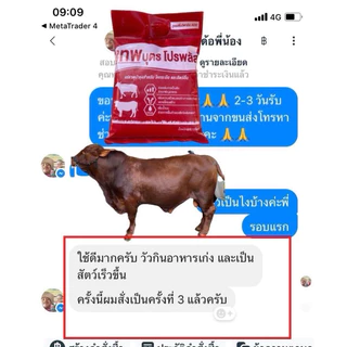 เทพบุตร โปรพลัส 1ถุง สูตรรวมแร่ธาตุบำรุงสัตว์14ชนิด
