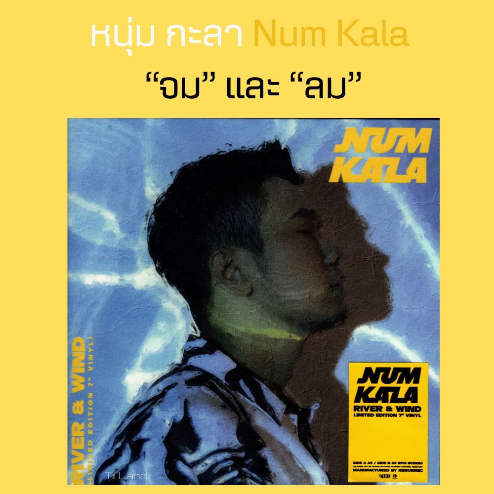 แผ่นเสียง 7" หนุ่ม กะลา Num Kala – จม และ ลม (SINGLE) (แผ่นใสสบัดสีเหลืองดำ) (แผ่นใหม่/ซีล)