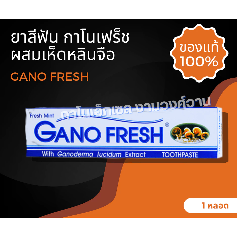 ยาสีฟันผสมเห็ดหลินจือ ยาสีฟันกาโนเอ็กเซล