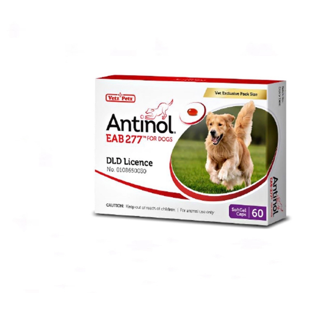 Antinol DOG 60 แคปซูล(หมดอายุ03/2025)แพ็คเกจใหม่ อาหารเสริมบำรุงข้อ ข้ออักเสบ 1 กล่องบรรจุ 60 เม็ด