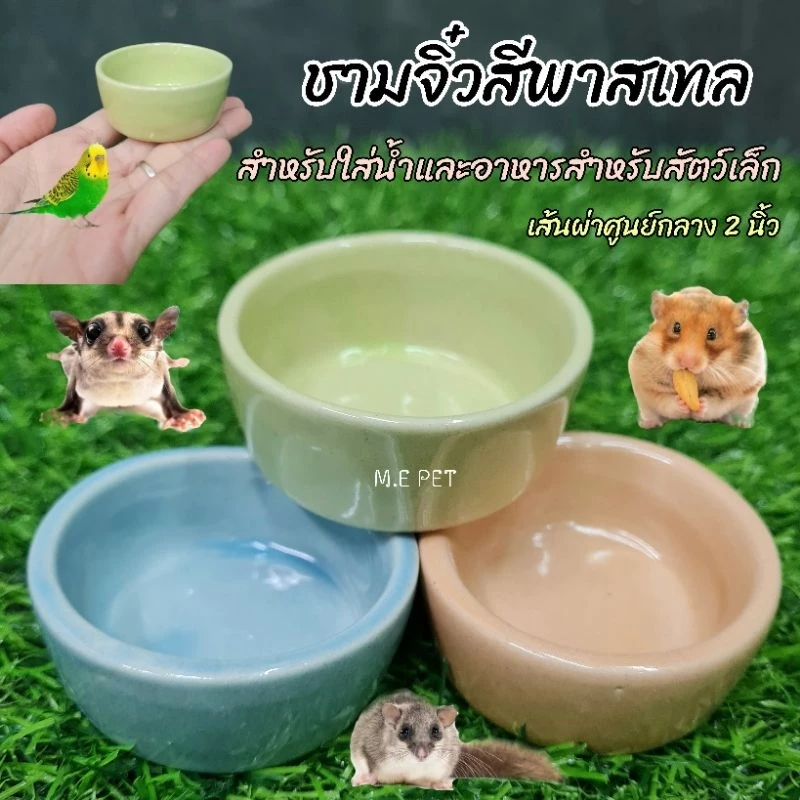 ถ้วยเซรามิคสีพลาสเทลขนาดเล็ก สำหรับใส่น้ำและอาหารสำหรับสัตว์เลี้ยงเล็กๆ (ถ้วยจิ๋วสี)