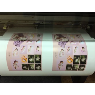 น้ำหมึก Eco Solvent Ink By DTawan Korea Quality ให้งานพิมพ์สีสด คมชัด สวยงาม กันแดด กันน้ำ กันแสง UV พิมพ์ลงกระดาษโฟโต้