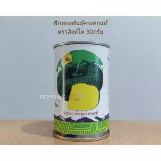 เมล็ดพันธุ์ฟักทอง พันธุ์คางคกแท้ ตราสิงห์โต ขนาด 30 กรัม และ 250 กรัม