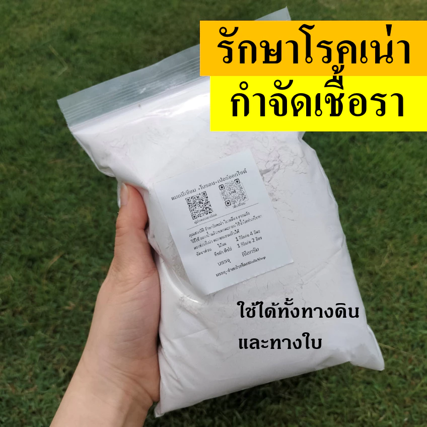 แมกนีเซียม/แคลเซียม +โบรอน+เปอร์ออกไซด์ ป้องกันเชื้อรา เสริมขั้วเหนียว แบ่งขาย 1 กิโล