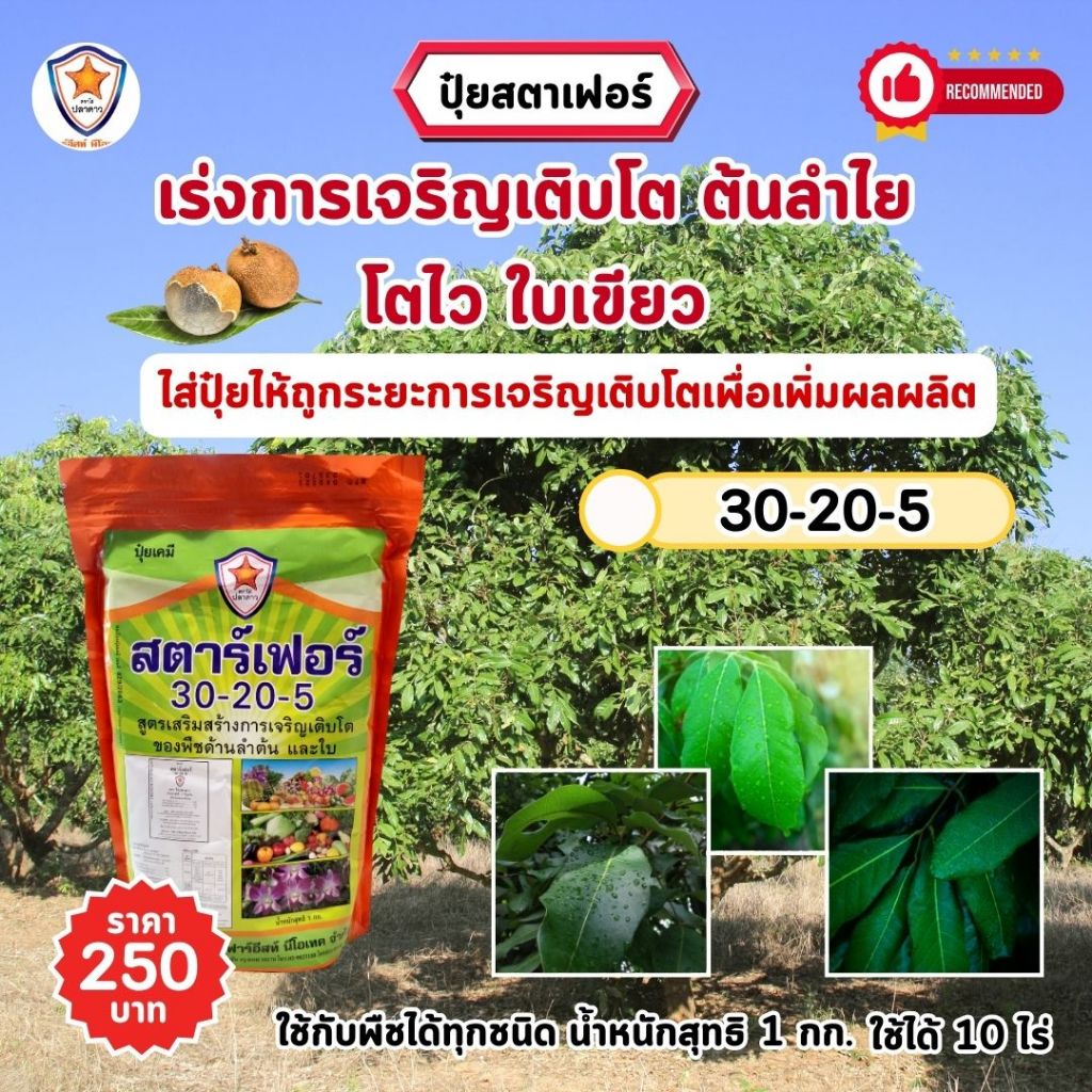 ปุ๋ยลำไย สตาร์เฟอร์ 3 สูตร ครบทุกความต้องการสำหรับต้นลำไย เร่งโต ใบเขียว เร่งราก เร่งดอก ผลใหญ่ ดกเต็มต้น ราคา ถูกที่สุด ดีลบีเคเค แกลเลอรีภาพที่ 2