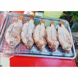 เหล็กอบปลานิลอบโอ่งรุ่นใหม่ใชัลวดใหญ่กว่าเดิม แข็งแรงยิ่งขึ้น​ ยาว35ซม.​ บรรจุมัดละ​10อัน​ มัดละ200บ. ทนทาน ใช้งานได้นาน
