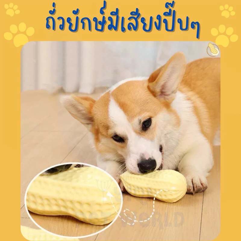 🔥(ส่งด่วน/ส่งไว) ของเล่นสุนัข ถั่วยักษ์ มีเสียงปี๊บๆ สำหรับแทนลูกบอลสุนัข (Y052)