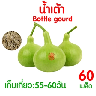 *โค้ดส่งฟรี* ผักไม้เลื้อย เมล็ดผัก เมล็ดตระกลูแตง (2,000เมล็ด+) เมล็ดพันธุ์ เมล็ดพันธุ์ผัก งอกดี ปลูกผัก Clearance