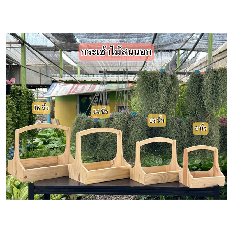‼️ถูก ส่งเร็วทันใจ‼️ กระเช้าไม้ หูโค้ง ขนาด 9 - 16 นิ้ว  กระเช้าใส่ผลไม้ กระเช้าดอกไม้ กระเช้าใส่ของ