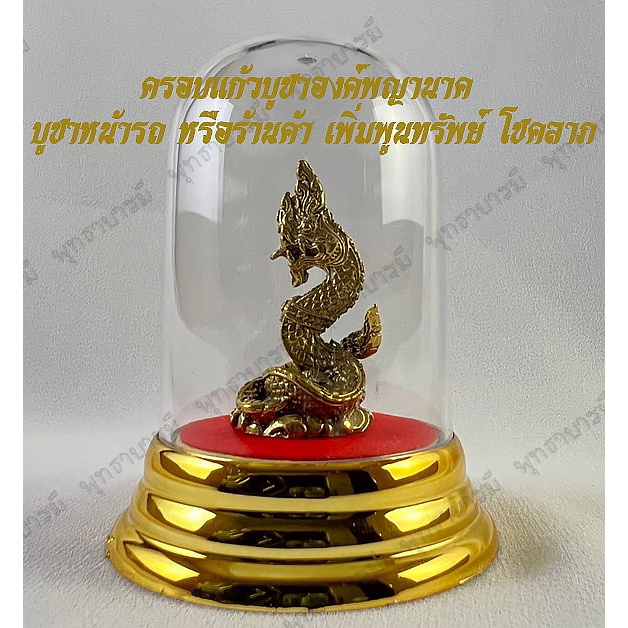 ครอบแก้วองค์พญานาค>บูชาหน้ารถ ที่ทำงาน หรือหิ้งบูชา สวยงาม พร้อมส่ง