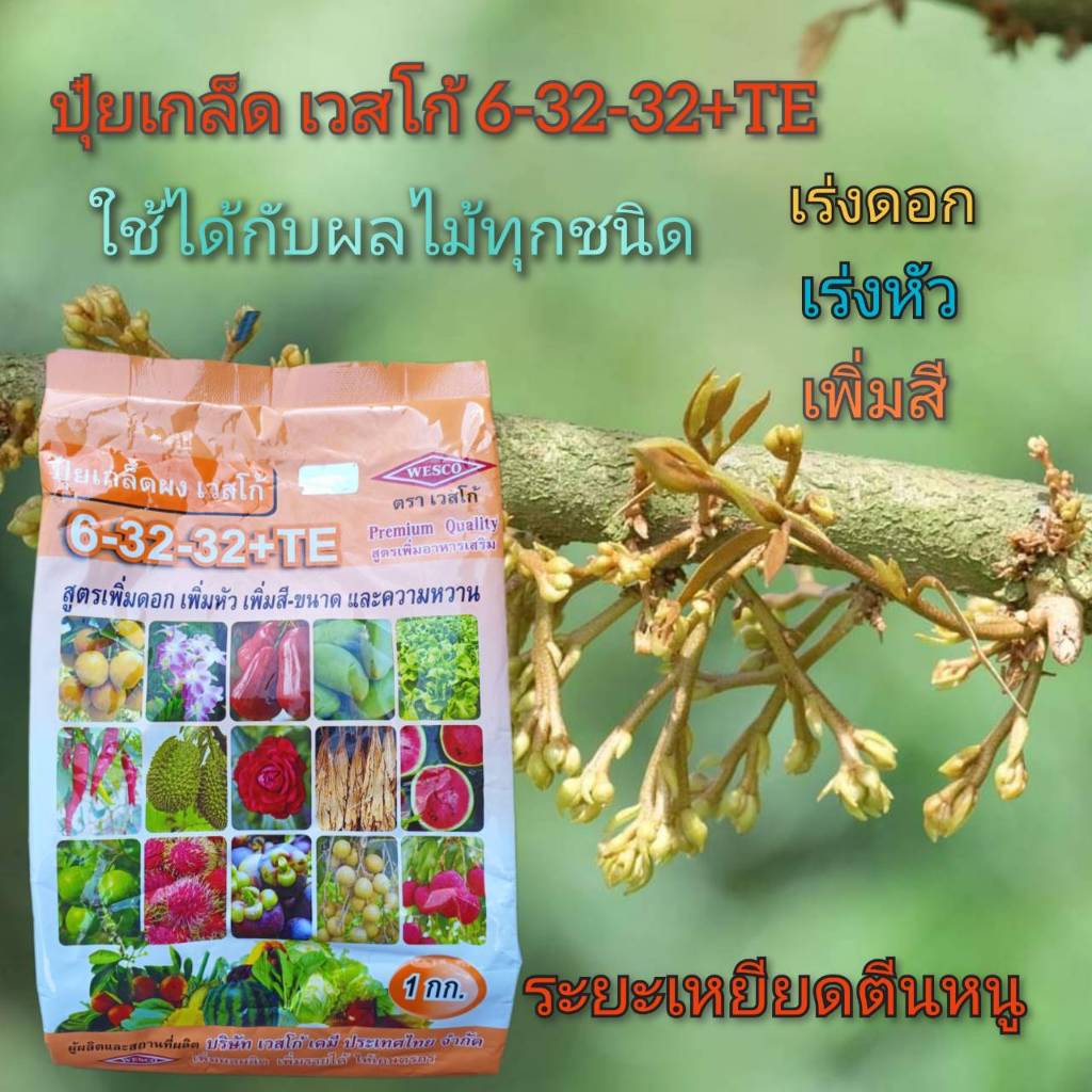 ปุ๋ยเกล็ด เวสโก้ 6-32-32+TE ขนาด 1 กิโลกรัม