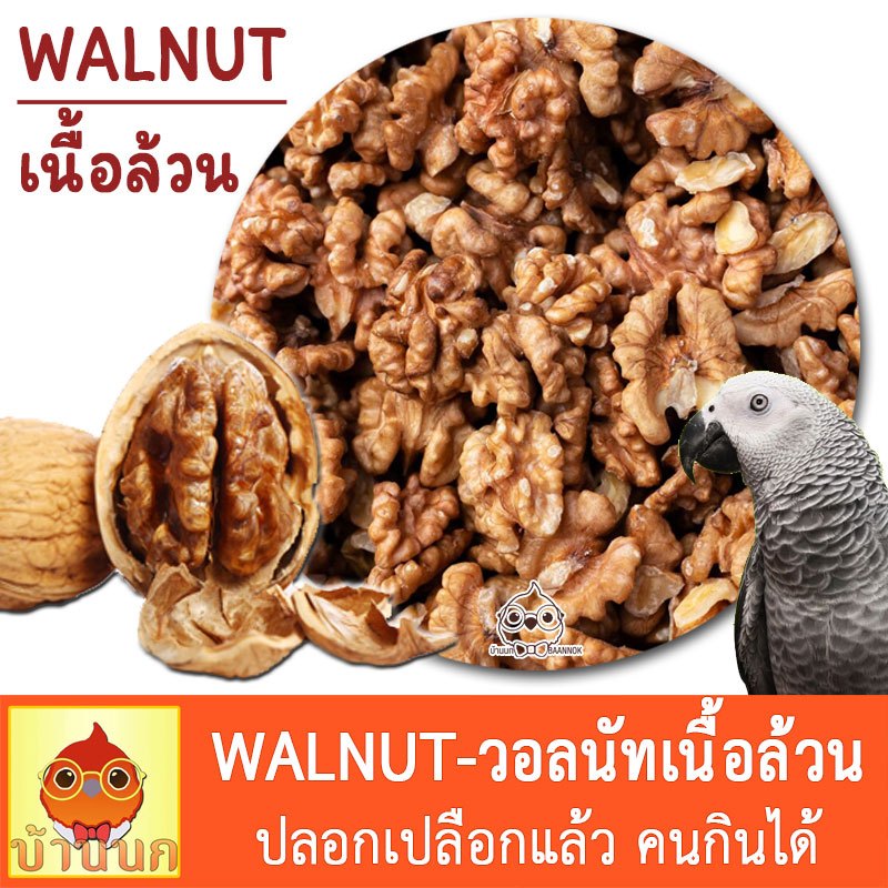 วอลนัท อาหารนก เกรดคนกินได้ 100g / 500g WALNUT ไม่มีเปลือก