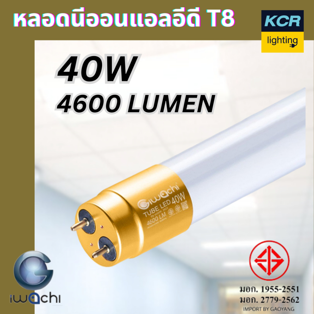 IWACHI หลอดแอลอีดี T8 40W สว่างแรงเป็นพิเศษ ยาวปกติ1.20 เมตร ขายยกลัง 30 ดวง (อานรายละเอียดก่อนสั่งซื้อ)