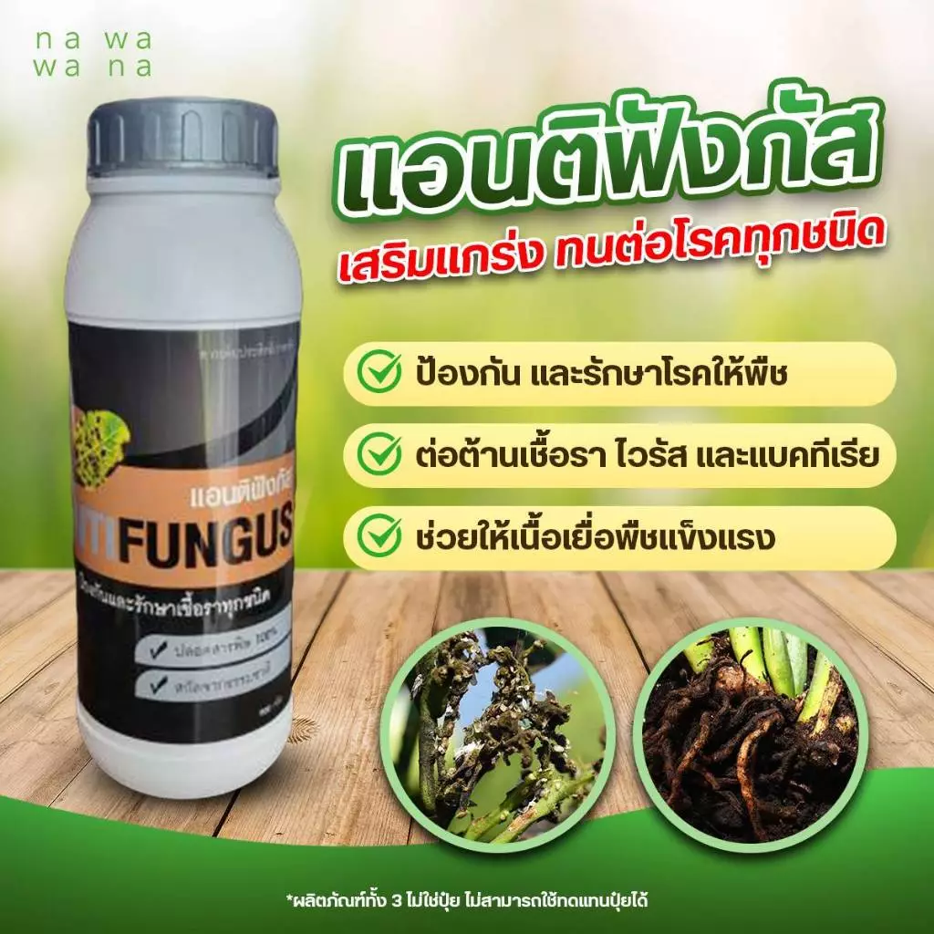 แอนติฟังกัส (โปร 1 ขวด) สารป้องกันและกำจัดเชื้อรา
