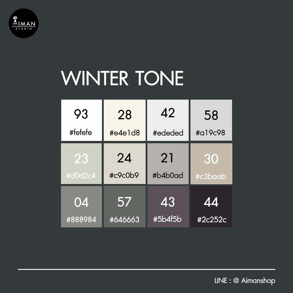 ฉากกระดาษ Limbo Paper Background 2x3 เมตร (Winter Tone/เลือกได้ 1 สี)