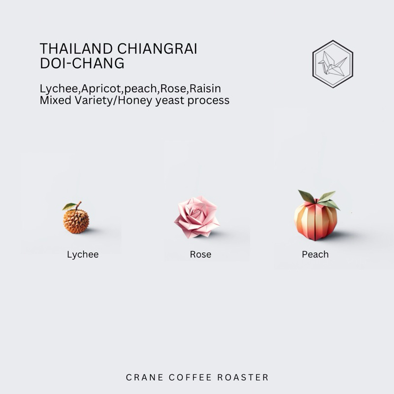 Thailand Chiangrai DOI-CHANG Yeast process light roast