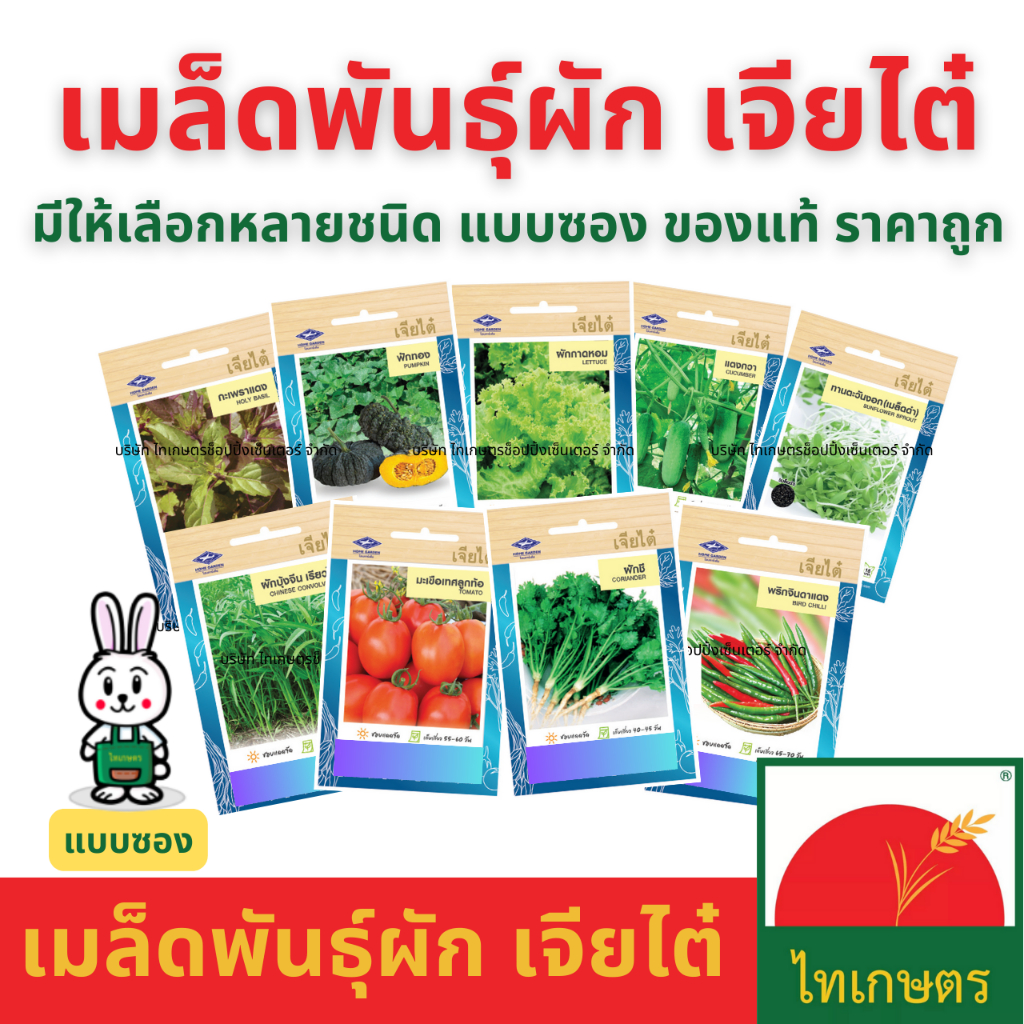 เมล็ดผัก เจียไต๋ เมล็ดพันธุ์ ผักซอง ผักบุ้ง ผักกาดขาว คะน้า กะเพรา คื่นช่าย ผักชี แตงกวา พริก ถั่ว ราคา ถูกที่สุด ดีลบีเคเค