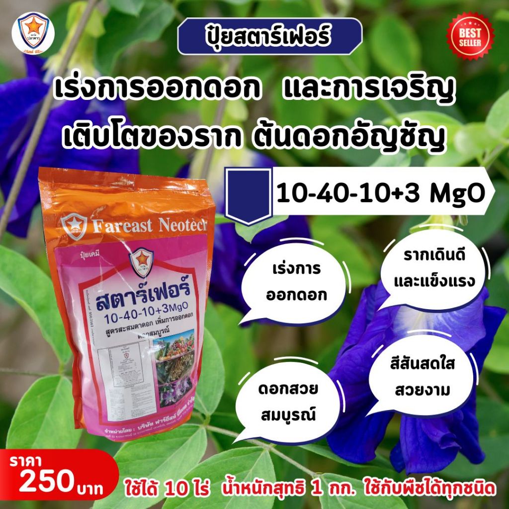 เร่งการออกดอกและเร่งรากด้วยปุ๋ยสตาร์เฟอร์ สูตร 10-40-10+3 MgO: เคล็ดลับสำหรับการเพิ่มผลผลิตของดอกอัญชัน