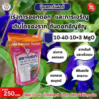 เร่งการออกดอกและเร่งรากด้วยปุ๋ยสตาร์เฟอร์ สูตร 10-40-10+3 Mg…