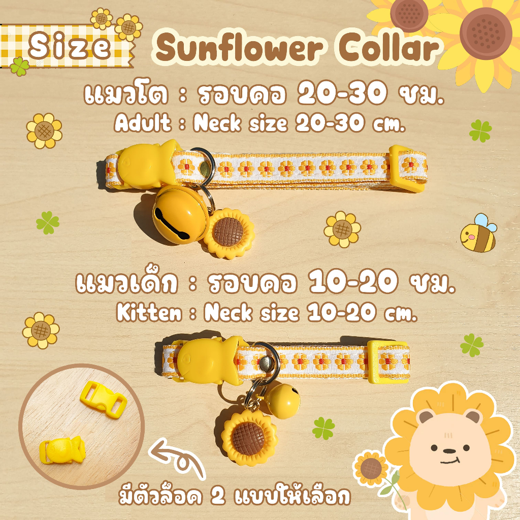 รูปภาพ 2