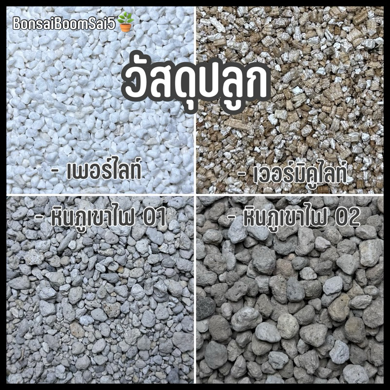 วัสดุปลูกนำเข้า (5 ลิตร) พีทมอส เพอร์ไลท์ เวอร์มิคูไลท์ หินภูเขาไฟ ดินญี่ปุ่น