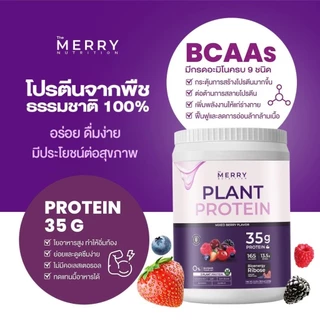 Merry Plant Protein โปรตีนพืช 5 ชนิด : รส Mixed Berry Flavor 1 กระปุก 2.3lb. / 1,050g[ 20 Servings ]