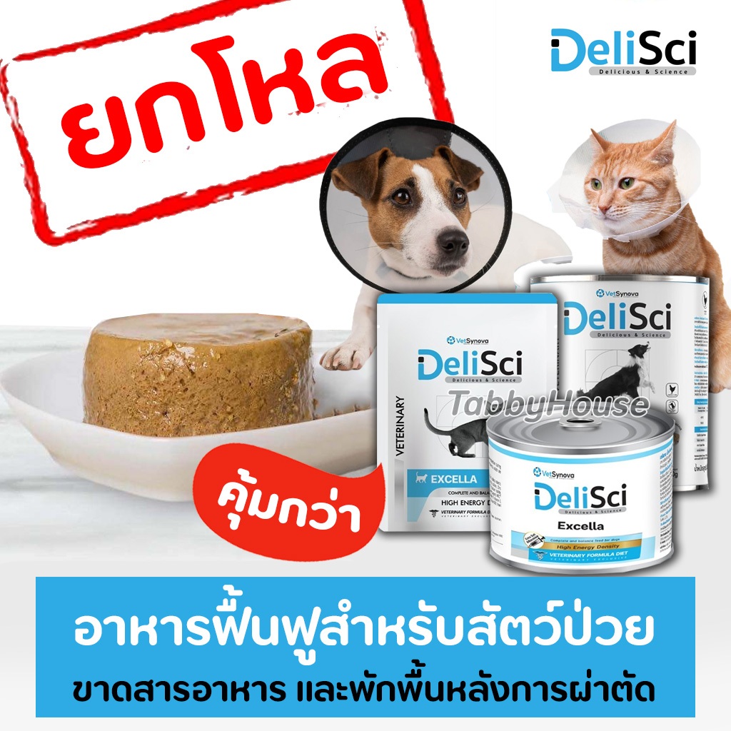 ยกโหล DeliSci Excella อาหารเปียก ฟื้นฟูสําหรับสัตว์ป่วย แมว สุนัขป่วย ขาดสารอาหาร และพักฟื้นหลังการผ่าตัด