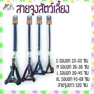 สายจูง ที่รัดอก สำหรับสัตว์เลี้ยง dog leashes [สายยีน]