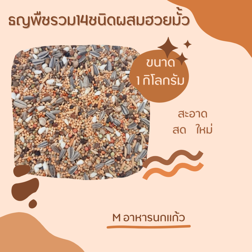ธัญพืช 14 อย่าง ผสมฮวยมั้ว