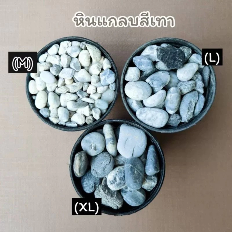 หินโรยหน้ากระถาง 1 กิโลกรัม โรย แคคตัส บอนไซ ตู้ปลา จัดตู้ปลา สวยมาก หินแม่น้ำขาว โขง เทาฟ้า thumbnail 3