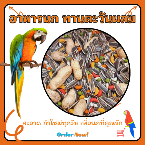 อาหารนก parrot mix 1 กก. สินค้าแนะนำ