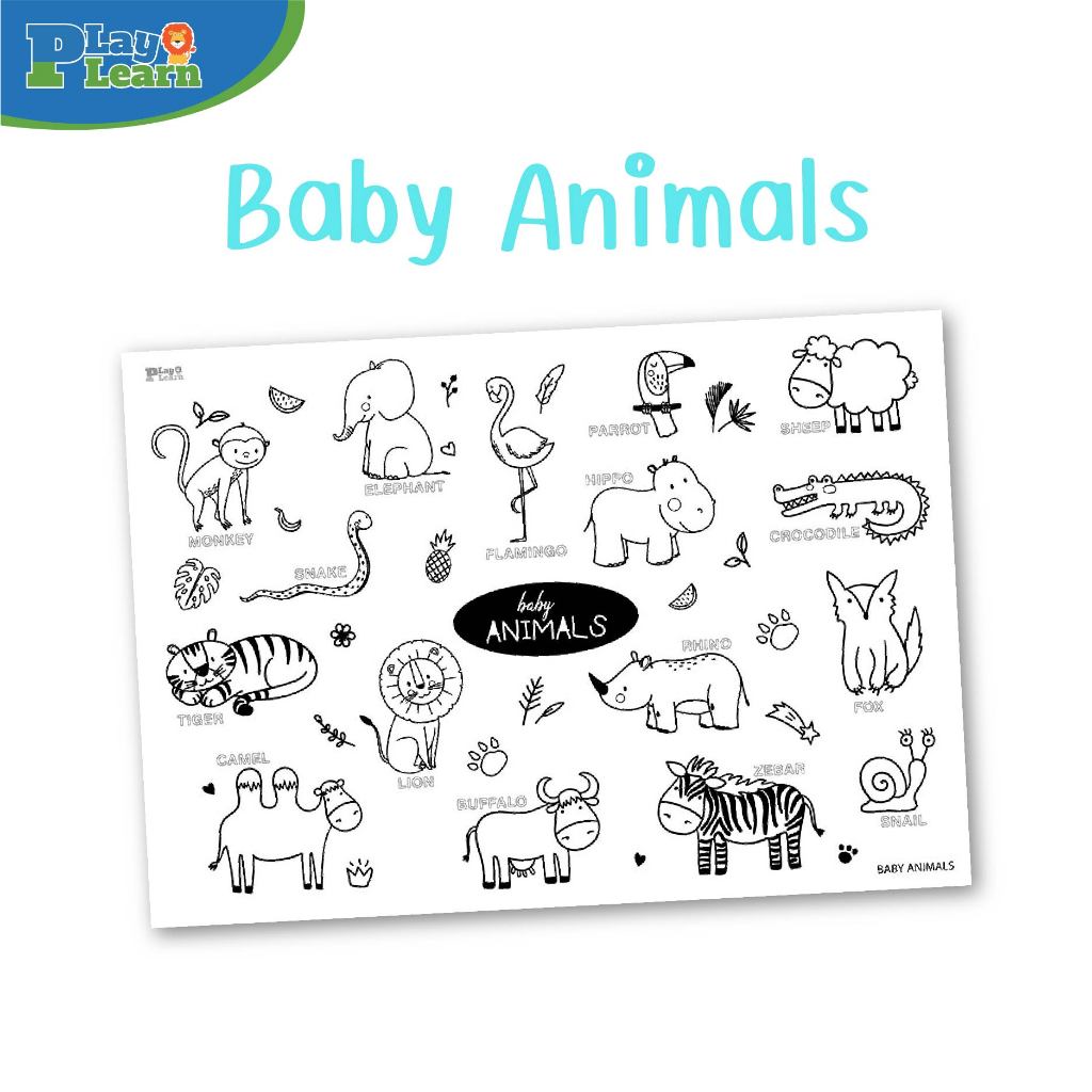 Play Plearn Kid รวมเซตสินค้าโปสเตอร์, กระดาษ, สมุดระบายสีขายดี - รูปที่ 3