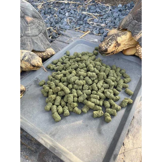 Happy tortoise อาหารเต่าบก สูตรเม็ดใหญ่ ถุงโรงงานสีส้ม/ถุงใส พร้อมส่ง มีของแถมทุกออเดอร์